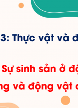 Bài 10 Sự sinh sản ở động vật đẻ trứng và động vật đẻ con